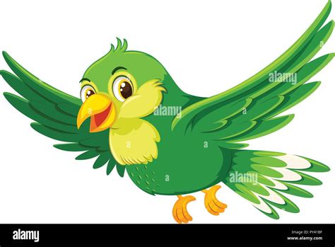 Cute flying green bird illustration Stock Vector Image & Art - Alamy