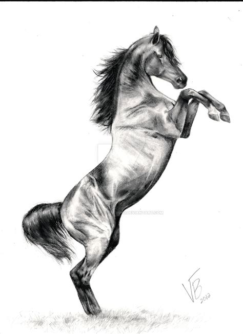 Horse Rearing Up Drawing - Rearing Horse Drawing Step By Step ...