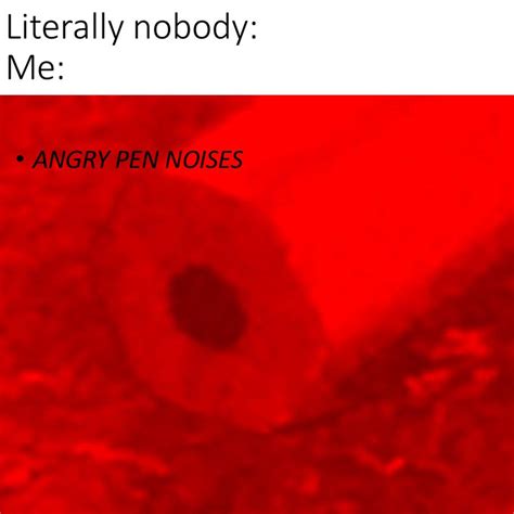 Angry Noises R Memes