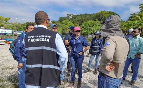 Gobierno Garantiza La Producci N De Tilapia En El Salvador Diario El