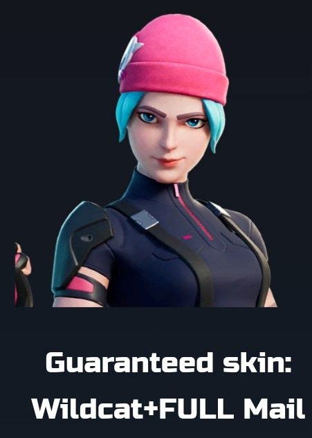 WILDCAT FORTNITE SKIN ACCOUNT, Video Gaming, Gaming Accessories, Game Gift Cards & Accounts on ...