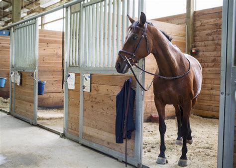 Prefabricated Movable Horse Stables , Easy Replace European Horse Stall ...