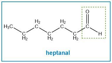 Draw The Structure Of A Constitutional Isomer Of 2 Heptanone Quizlet