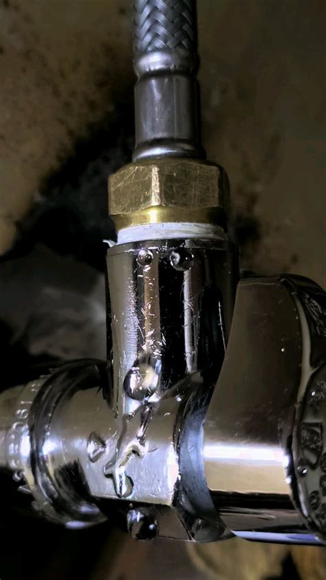 Has anyone ever seen this with a sharkbite valve? : r/Plumbing