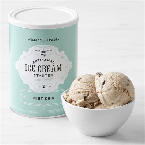 Williams Sonoma Vanilla Mint Chip Ice Cream Starter Set Williams Sonoma