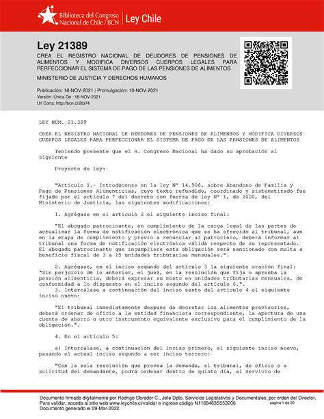 Ley 21389 Registro Nacional Deudores Pensiones 2021 Documento Firmado