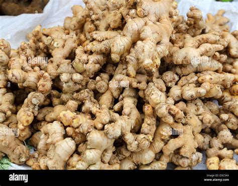 FRESH GINGER ROOT Stock Photo - Alamy