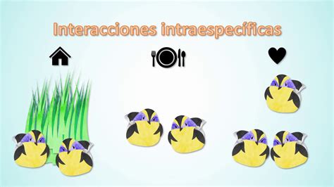 Interacciones Ecológicas Psu Ciencias Biología Youtube