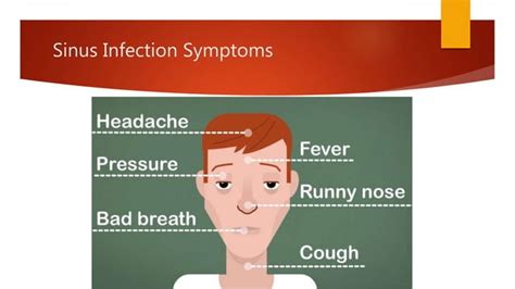 Sinus infection contagious | PPT