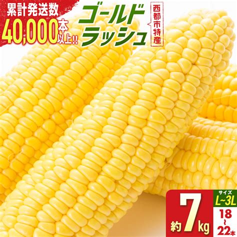 【楽天市場】【ふるさと納税】自慢のスイートコーン（約7kg）「楽天限定」ゴールドラッシュ「先行予約」 宮崎県 西都市産 とうもろこし さいと