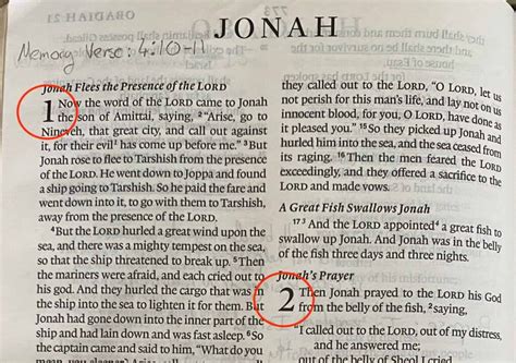 bible  structured  formatted     important