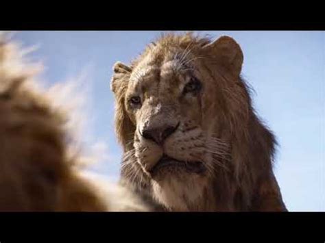 lion king  mufasas death canadian french youtube