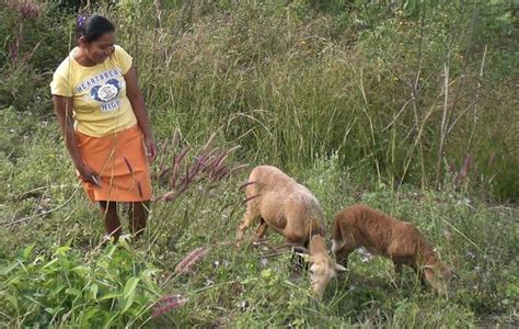 Theater Advances Gender Rights In El Salvador Globalgiving