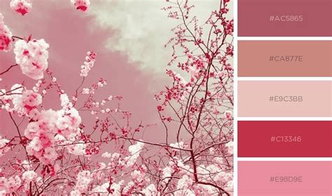 Tím Pastel Mã Màu: Cách sử dụng và kết hợp màu thú vị [10 ý tưởng để ...