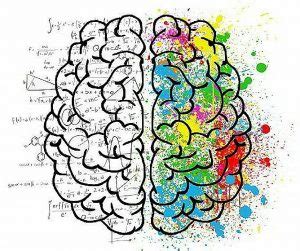 Relationship Between Psychology And Law Bscholarly