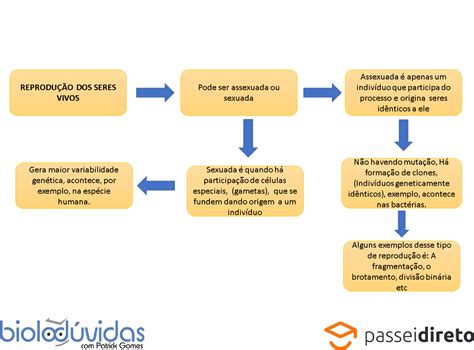 Mapa Mental ReproduÇÃo