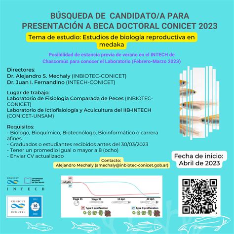 B Squeda De Candidato A Para Presentaci N A Beca Doctoral Conicet