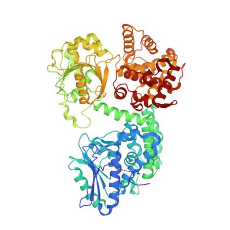 RCSB PDB 7O1L Structure Of Mycobacterium Tuberculosis Beta Oxidation