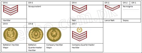 Pakistan Army Ranks And Badges With Salary Pay Scale