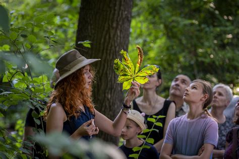 Za Nami Iii Botaniczna Scena Premier W Miejskim Ogrodzie Botanicznym