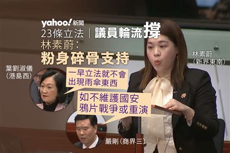 23 條立法｜議員輪流撐 林素蔚：粉身碎骨支持 葉劉：一早立法就不會出現雨傘東西｜yahoo