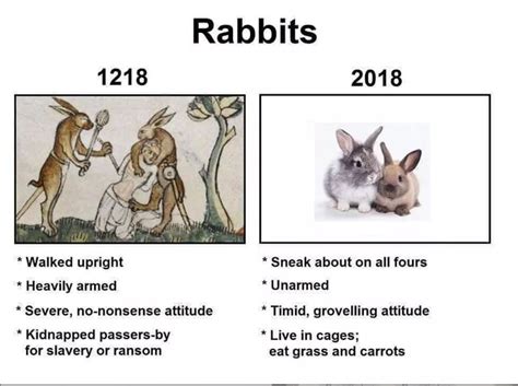 Watership Down Meme By Naziduck Memedroid