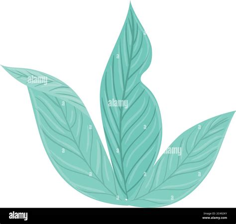 Tropical Leaves Pastel Color On White Background Stock Vector Image