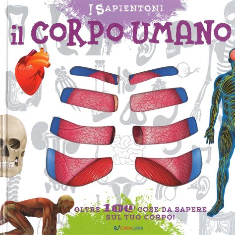 Il Corpo Umano Oltre 100 Cose Da Sapere Sul Tuo Corpo Bradamante