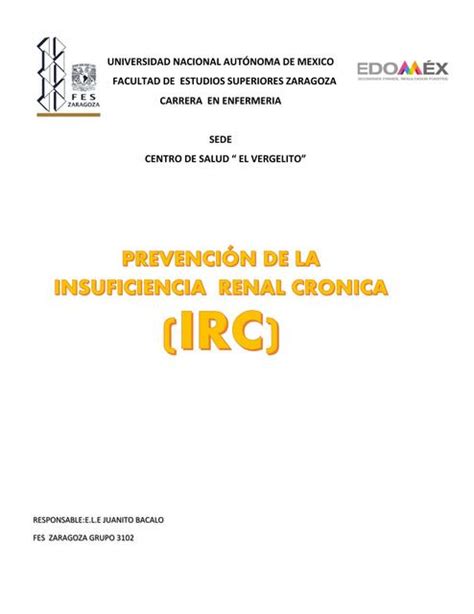 Prevención de la Insuficiencia Renal Crónica EESP Fabiola Flores uDocz