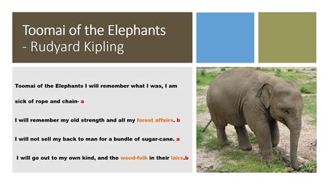 Grade 6 English Unit 1section C Toomai Of The Elephants Youtube