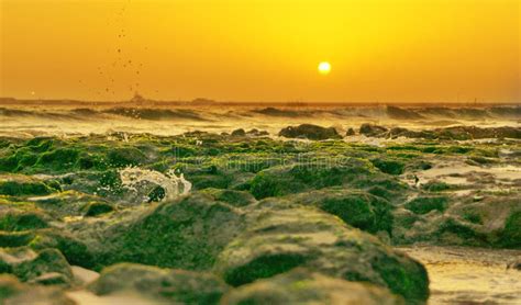 Porbandar Beach Stock Photos - Free & Royalty-Free Stock Photos from ...