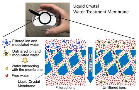 Highly Selective Membranes Science Codex