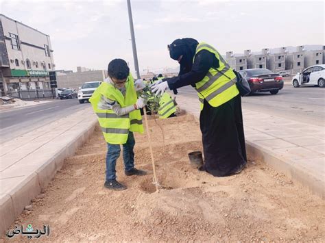 جريدة الرياض 300 متطوع ومتطوعة يشاركون في تشجير المدينة