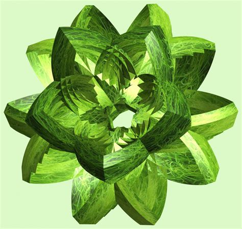 Free Images Structure Texture Leaf Flower Pattern Food Green