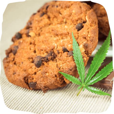 Cannabis Edible