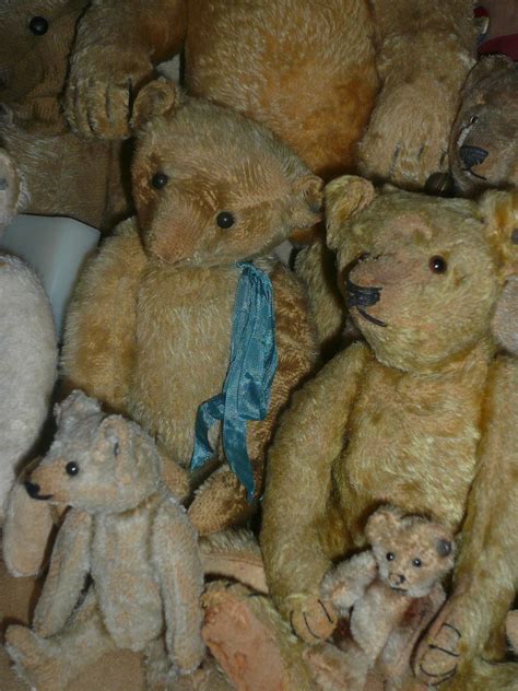 Old Teddy Bears Steiff Teddy Bear Antique Teddy Bears Teddy Bear