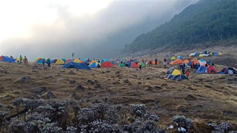 Part Pendakian Gunung Gede Penampakan Nenek Tua Di Surya Kencana