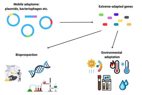 Mobile Adaptome Extreme Adaptation And Bioprospection Instytut Mikrobiologii Wydziału Biologii Uw