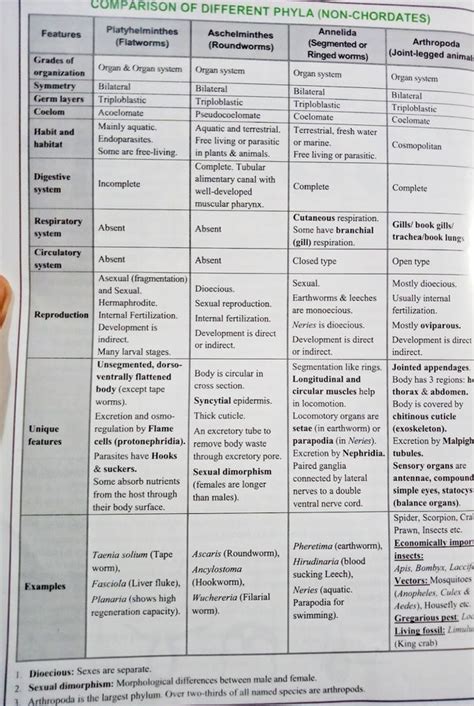 Top 105 + Mnemonic for animal kingdom examples - Lestwinsonline.com