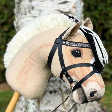 My Hobby Horse