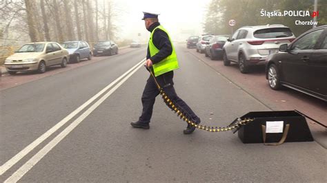 Sterroryzowa Pracownik W Wku Wiadomo Ci Komenda Miejska Policji W