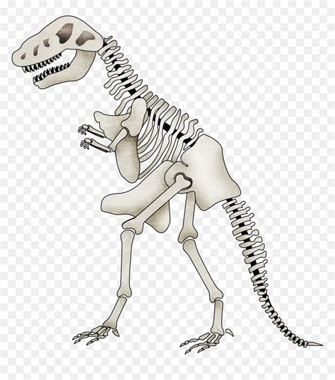 Dinosaur Bones Png Dinosaur Bones Is A Completely Free Picture