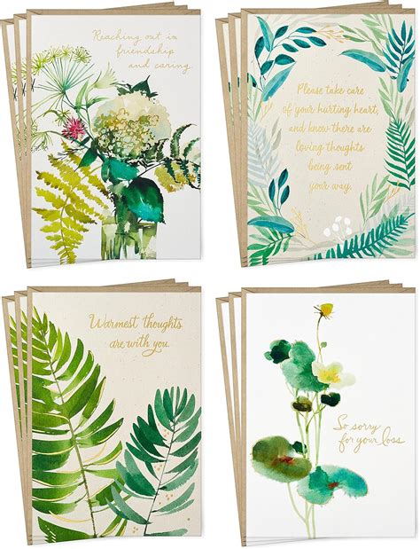 Amazon.com : Hallmark Sympathy Cards Assortment, Watercolor Greenery ...