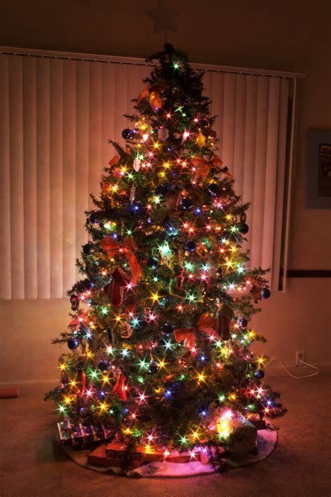 10 Colored Lights Christmas Tree Ideas DECOOMO