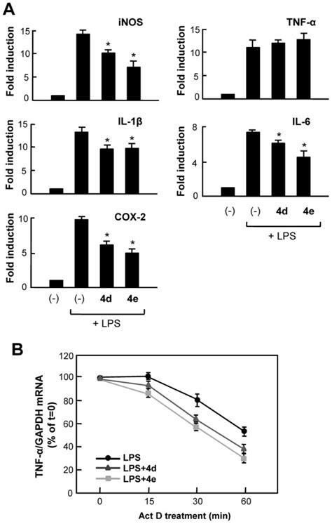 A Effect Of 4d And 4e On Mrna Expression Of Inos Cox 2 And