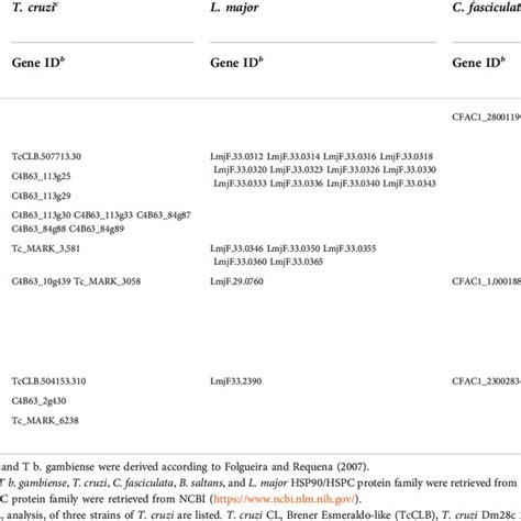 Hsp Hspc Proteins From Trypanosoma Brucei With Putative Orthologues