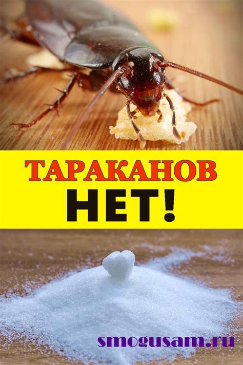 ОТЛИЧНЫЕ СРЕДСТВА ОТ ТАРАКАНОВ! Избавьтесь от тараканов в доме навсегда ...