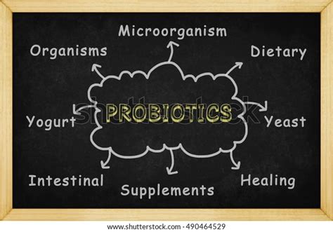 Probiotics Mind Mapping Hand Drawn Style Stock Illustration 490464529