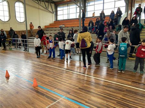 Campeonato interescolar de atletismo Pre peneca y Peneca Lycée Claude Gay OSORNO Colegio