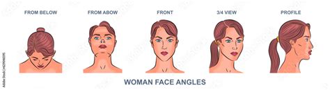 Female face set. Portrait of woman from different angles and view ...